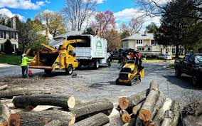 Best Firewood Processing and Delivery  in Derby, CO