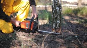 Best Lawn Watering Services  in Derby, CO