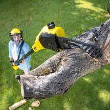 Best Lawn Irrigation Installation and Maintenance  in Derby, CO