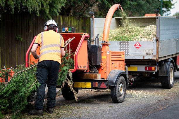 Best Lawn Maintenance Plans  in Derby, CO